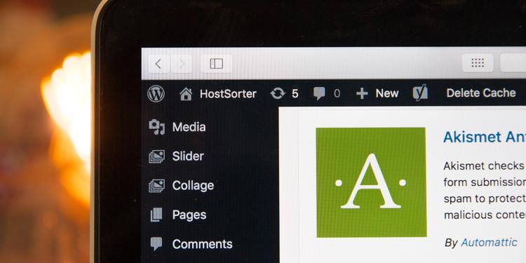 Screen showing Wordpress open